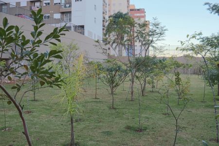 Apartamento para alugar com 40m², 2 quartos e 1 vaga Apartamento para alugar com 40m², 2 quartos e 1 vagaJardim