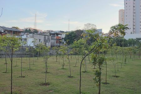 Apartamento para alugar com 40m², 2 quartos e 1 vaga Apartamento para alugar com 40m², 2 quartos e 1 vagaJardim
