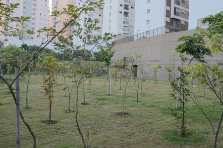 Apartamento para alugar com 40m², 2 quartos e 1 vaga Apartamento para alugar com 40m², 2 quartos e 1 vagaJardim