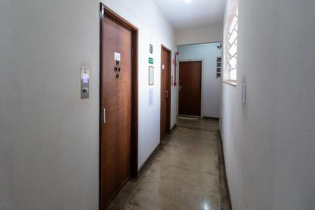 Hall do Elevador de kitnet/studio para alugar com 1 quarto, 38m² em Vila Lidia, Campinas