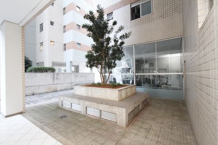 Área comum de apartamento para alugar com 3 quartos, 86m² em Vila Paris, Belo Horizonte