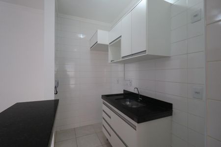 Cozinha de apartamento para alugar com 1 quarto, 45m² em Jardim Paulista, Ribeirão Preto