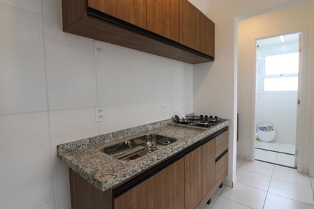Apartamento para alugar com 46m², 2 quartos e sem vagaCozinha