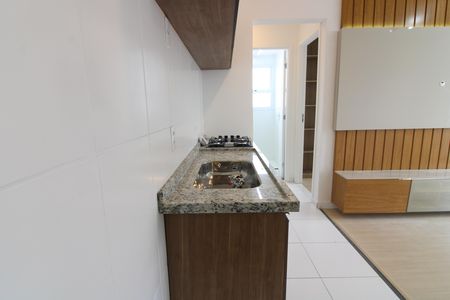 Apartamento para alugar com 46m², 2 quartos e sem vagaCozinha