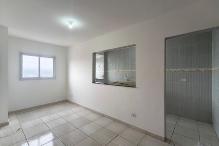 Apartamento para alugar com 1 quarto, 40m² em Vila Tupi, Praia Grande