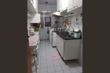 Apartamento à venda com 3 quartos, 57m² em Vila Luzita, Santo André