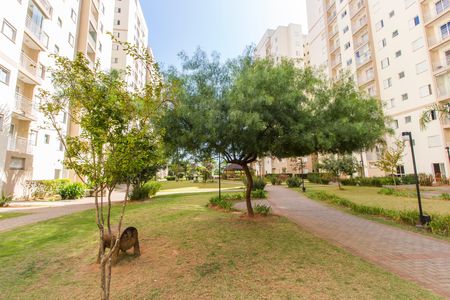 Área comum de apartamento para alugar com 3 quartos, 68m² em Jardim Tupanci, Barueri