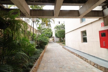 Área comum - Verde de apartamento para alugar com 3 quartos, 80m² em Vila Sofia, São Paulo