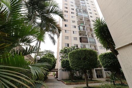 Fachada do bloco de apartamento para alugar com 3 quartos, 80m² em Vila Sofia, São Paulo