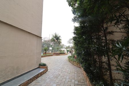 Área comum - Verde de apartamento para alugar com 3 quartos, 80m² em Vila Sofia, São Paulo