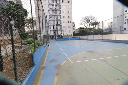 Quadra Esportiva de apartamento para alugar com 3 quartos, 80m² em Vila Sofia, São Paulo