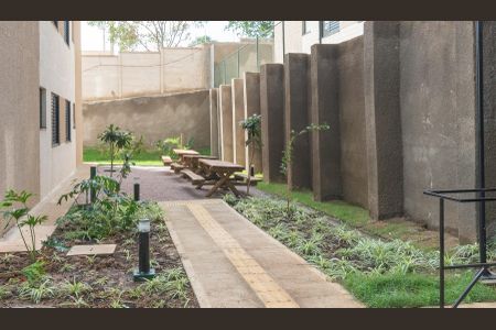 Área comum - Academia de apartamento para alugar com 2 quartos, 43m² em Jardim Ibirapuera, Campinas