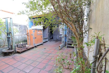 Quintal de casa para alugar com 3 quartos, 197m² em Veleiros, São Paulo