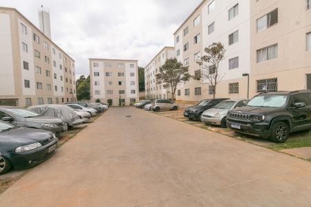 Apartamento à venda com 2 quartos, 46m² em Santa Amelia, Belo Horizonte