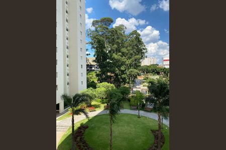 Vista de apartamento à venda com 3 quartos, 81m² em Vila Cruz das Almas, São Paulo