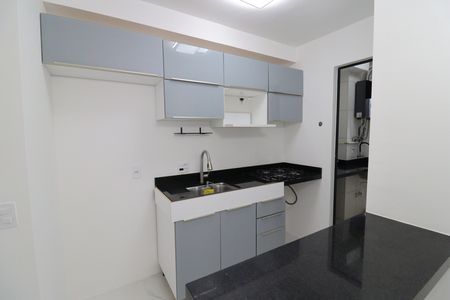 Apartamento para alugar com 49m², 2 quartos e 1 vagaCozinha - Armários