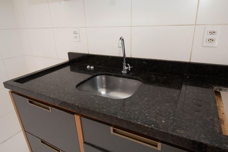 Cozinha de apartamento para alugar com 2 quartos, 40m² em Vila Zat, São Paulo