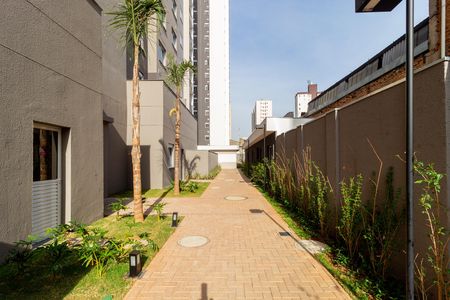 Área comum de apartamento para alugar com 1 quarto, 25m² em Belenzinho, São Paulo
