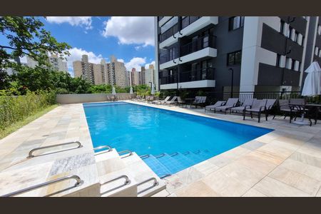 Área comum - Piscina de apartamento para alugar com 2 quartos, 36m² em Umarizal, São Paulo
