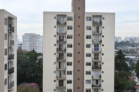 Vista de apartamento à venda com 2 quartos, 53m² em Jardim Umarizal, São Paulo