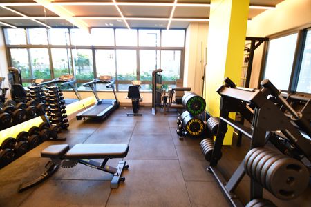 Área comum - Academia de apartamento para alugar com 3 quartos, 145m² em Nova Campinas, Campinas