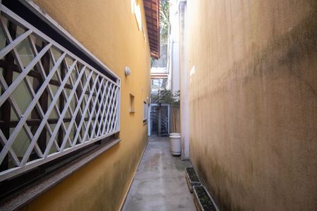 Quintal de casa para alugar com 4 quartos, 204m² em Vila Irmaos Arnoni, São Paulo