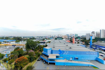 Vista da Cozinha de apartamento para alugar com 2 quartos, 40m² em Centro, Guarulhos