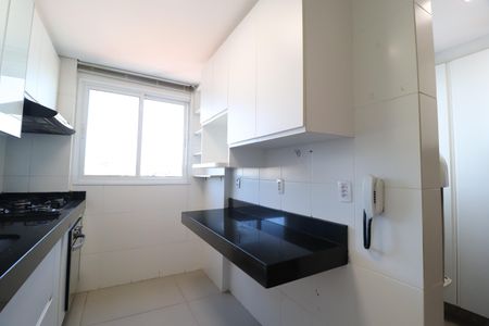 Cozinha de apartamento para alugar com 3 quartos, 120m² em Patrimônio, Uberlândia