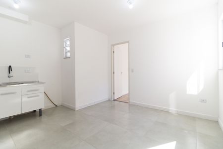 Sala de apartamento para alugar com 1 quarto, 32m² em Cursino, São Paulo