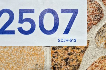 placa SDJH-513 - 3ASP600513 de casa para alugar com 3 quartos, 285m² em Ferrazópolis, São Bernardo do Campo