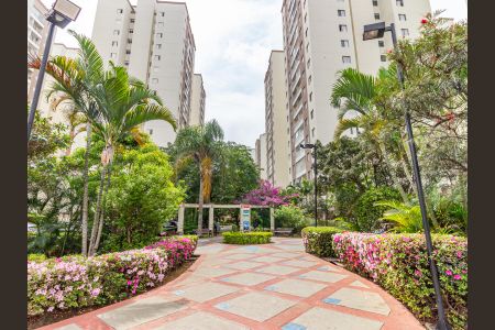 Área comum de apartamento para alugar com 2 quartos, 55m² em Brás, São Paulo
