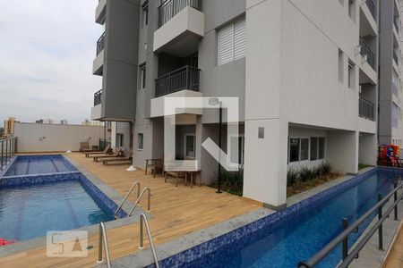 Área comum - Piscina de apartamento à venda com 1 quarto, 35m² em Presidente Altino, Osasco