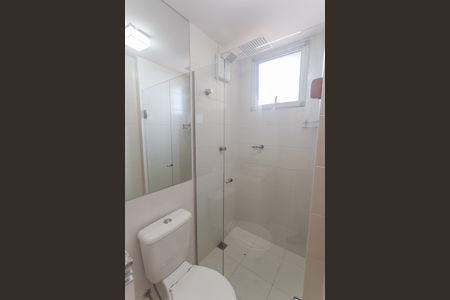 Banheiro Social de apartamento para alugar com 3 quartos, 75m² em Serra, Belo Horizonte