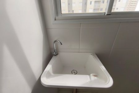 Área de Serviço de apartamento para alugar com 2 quartos, 46m² em Vila Palacios, Campinas