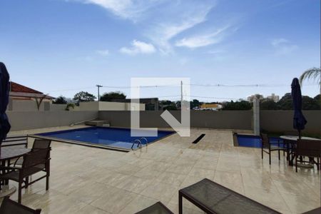 Área comum - Piscina de apartamento para alugar com 2 quartos, 46m² em Vila Palacios, Campinas