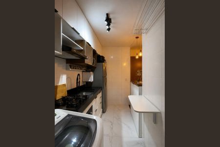 Cozinha de apartamento para alugar com 2 quartos, 45m² em Água Santa, Rio de Janeiro