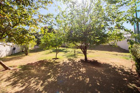 Área comum - Pomar de apartamento para alugar com 2 quartos, 53m² em Serrano, Belo Horizonte