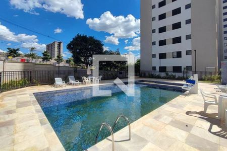 Área comum - Piscina de apartamento para alugar com 2 quartos, 43m² em Jardim Ibirapuera, Campinas