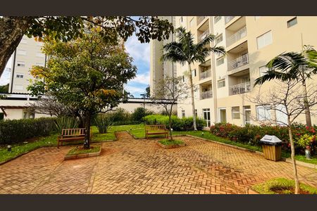 Apartamento para alugar com 3 quartos, 66m² em Fazenda Santa Cândida, Campinas