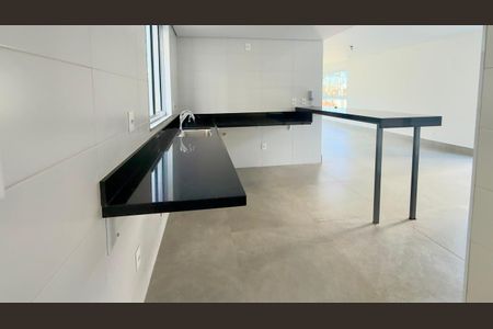 Apartamento à venda com 3 quartos, 229m² em Castelo, Belo Horizonte