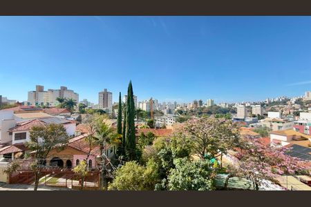 Apartamento à venda com 3 quartos, 163m² em Castelo, Belo Horizonte