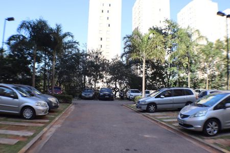 Área comum de apartamento para alugar com 2 quartos, 53m² em Vila Sao Joao, Barueri