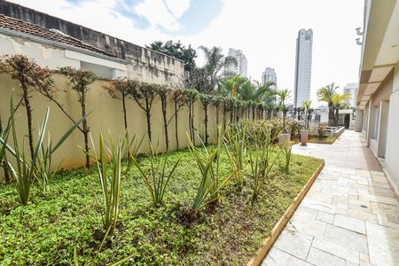 Área comum de apartamento para alugar com 2 quartos, 65m² em Mirandópolis, São Paulo