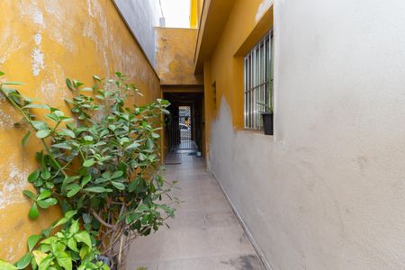Área comum de casa para alugar com 1 quarto, 70m² em Jardim Silva Teles, São Paulo