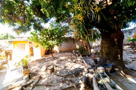 Quintal de casa à venda com 3 quartos, 360m² em Boa Vista, Belo Horizonte