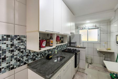 Cozinha  de apartamento para alugar com 2 quartos, 79m² em Nova Mirim, Praia Grande