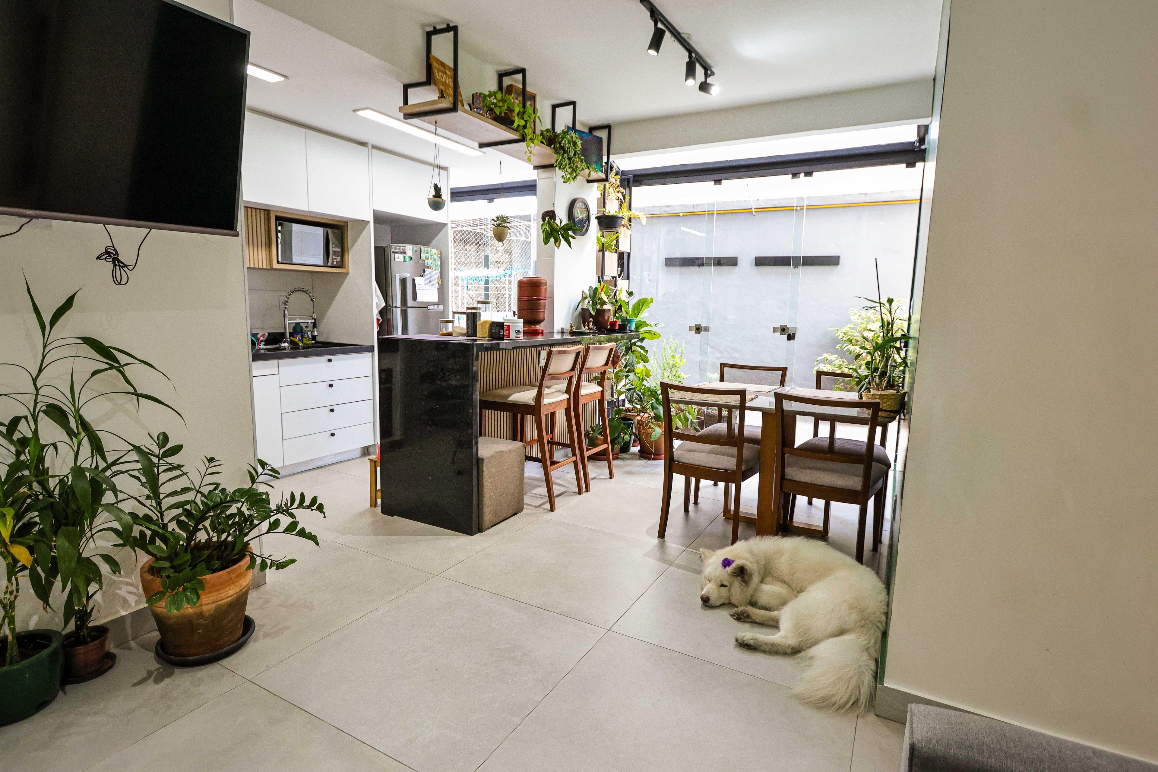Apartamento com 3 quartos — Santo Antônio, Belo Horizonte