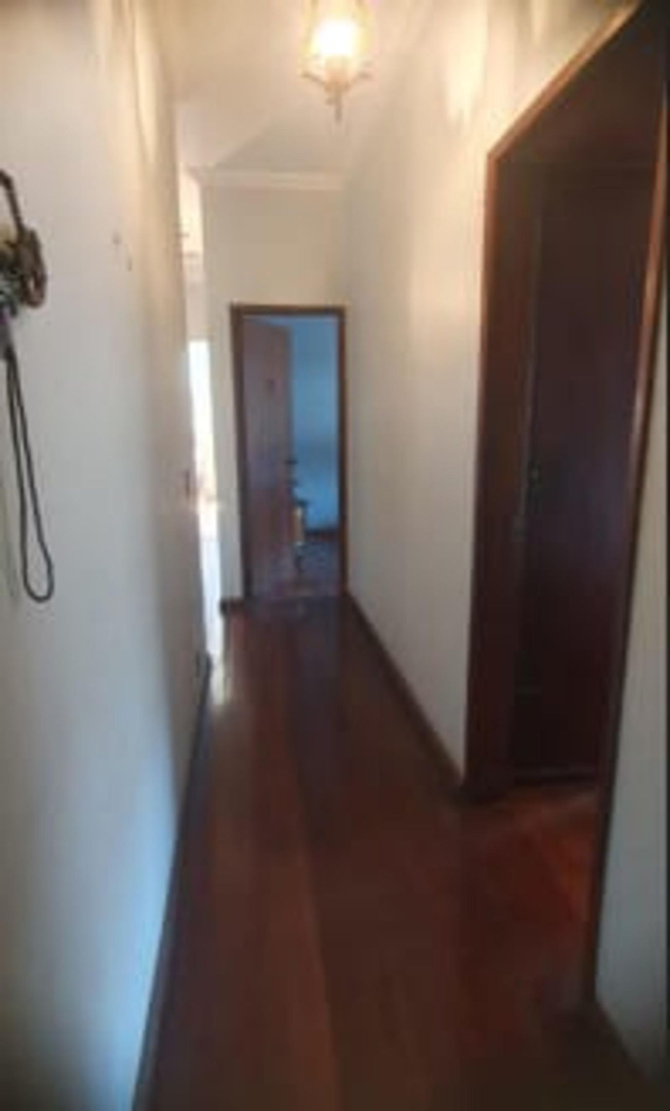 Foto 48