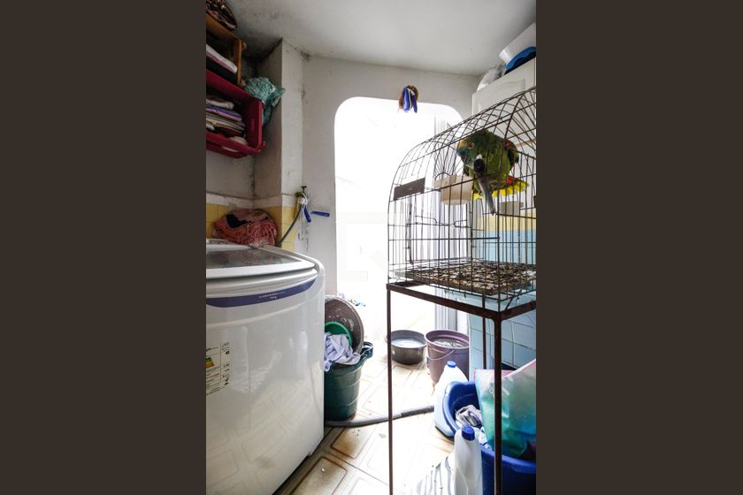 Casa, 3 quartos, 250 m² - Foto 46