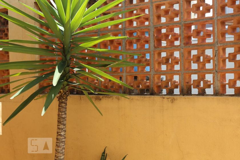Casa, 3 quartos, 125 m² - Foto 35